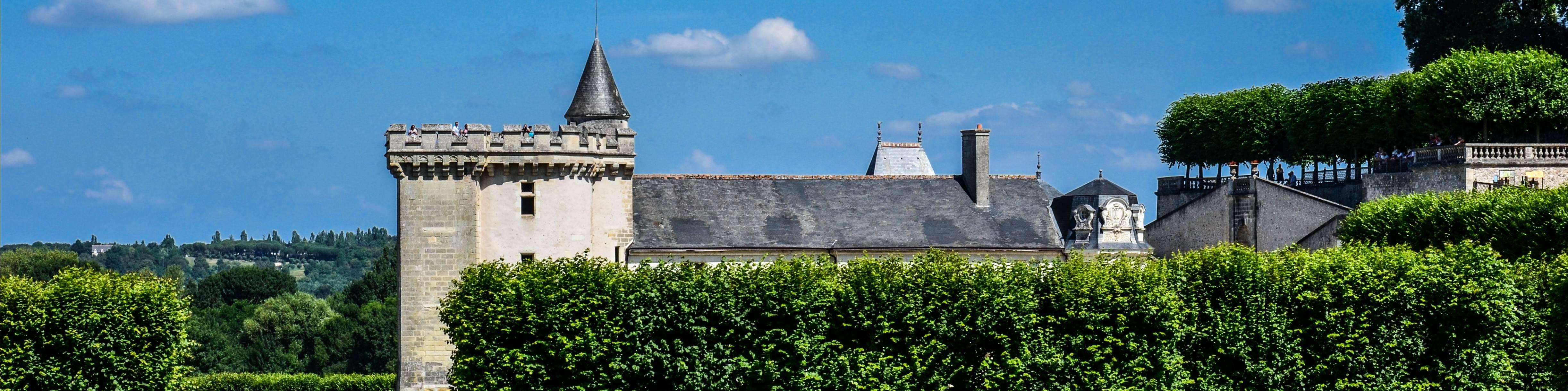 Kastelen van de Loire